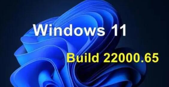 Windows 11 Build 22000.100 (ni)Щ